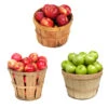 3 In 1 Apple Tree -Brighterblooms Shop 3 in 1 Apple 600x600 0e0ed339 9aed 4ad4 8bb3 3116ac09b8bc