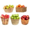 5-in-1 Apple Tree 2 5-in-1 Apple Tree -Brighterblooms Shop 5 in 1 Apple 600x600 edecc26b 6045 45de 8472 208403d5d74d