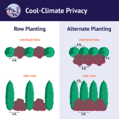 Cool-Climate Privacy Kit 11 Cool-Climate Privacy Kit -Brighterblooms Shop BB Cool ClimatePrivacy