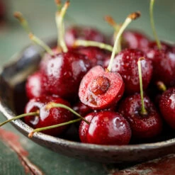 Brooks Cherry Tree -Brighterblooms Shop Brooks Cherry Tree 3 BB