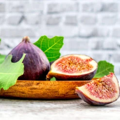 Chicago Hardy Fig Tree -Brighterblooms Shop Chicago Hardy Fig 4 BB