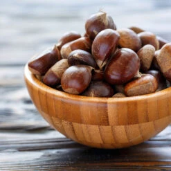 Chinese Chestnut Tree -Brighterblooms Shop Chinese Chestnut 5 BB