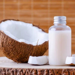 Coconut Palm Tree -Brighterblooms Shop Coconut Palm 8 B