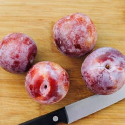 Dapple Dandy Pluot Tree 7 Dapple Dandy Pluot Tree -Brighterblooms Shop Dapple Dandy 2