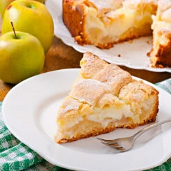 Dorsett Golden Apple Tree -Brighterblooms Shop Dorsett Apple 4