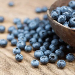 Emerald Blueberry Bush -Brighterblooms Shop Emerald Blueberries 1