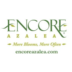 Autumn Fire® Encore® Azalea Shrub 11 Autumn Fire® Encore® Azalea Shrub -Brighterblooms Shop Encore Logo 1000x1000 4f4a022a 3175 461c 9bdc 6865e700f1a1
