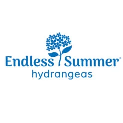 Endless Summer® Summer Crush® Big Leaf Hydrangea Shrub -Brighterblooms Shop Endless Summer Hydrangeas 1000x1000 cfb3c3b4 749b 40b6 be67 54064ebcdd09