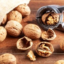 Carpathian English Walnut Tree -Brighterblooms Shop English Carpathian Walnut 1 BB