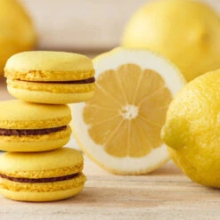 Eureka Lemon Tree -Brighterblooms Shop Eureka Lemon Tree 2 BB