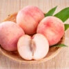 Indian Free White Peach Tree -Brighterblooms Shop Indian Free Peach BB 600x600 aab5f603 1c23 4340 b017 388d5fcd4c0d