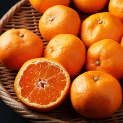 Kishu Mandarin Tree -Brighterblooms Shop Kishu Mandarin Tree 3 BB