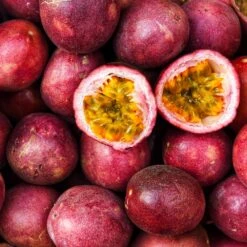 Nancy Garrison Passion Fruit Vine -Brighterblooms Shop Nancy Garrison Passion Fruit Vine 4 BB