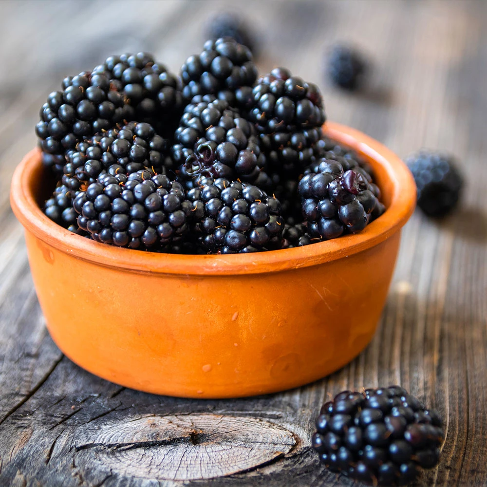 Navaho Blackberry 6 Navaho Blackberry - Image 4