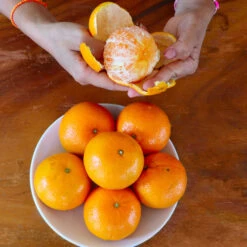 Nules Clementine Tree -Brighterblooms Shop Nules Clementine 4 BB