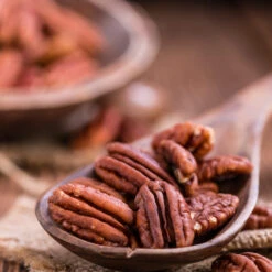 Pawnee Pecan Tree -Brighterblooms Shop Pawnee Pecan 3 BB