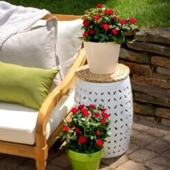 Petite Knock Out® Rose Shrub -Brighterblooms Shop Petite Red Knockout Rose BB