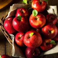 Apple Pollinator Pack -Brighterblooms Shop Red Delicious Apple 2