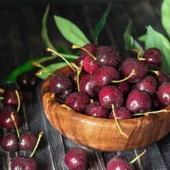 Skeena Cherry Tree -Brighterblooms Shop Skeena Cherry 3 BB