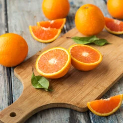 Valencia Orange Tree 13 Valencia Orange Tree -Brighterblooms Shop Valencia Orange 2 BB