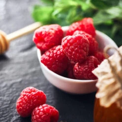 Willamette Red Raspberry Bush -Brighterblooms Shop Wiliamette Raspberry 1