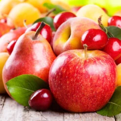 Orchard Kit -Brighterblooms Shop orchard kit 310024f8 9b56 436e 9e62 84dab023b0cb